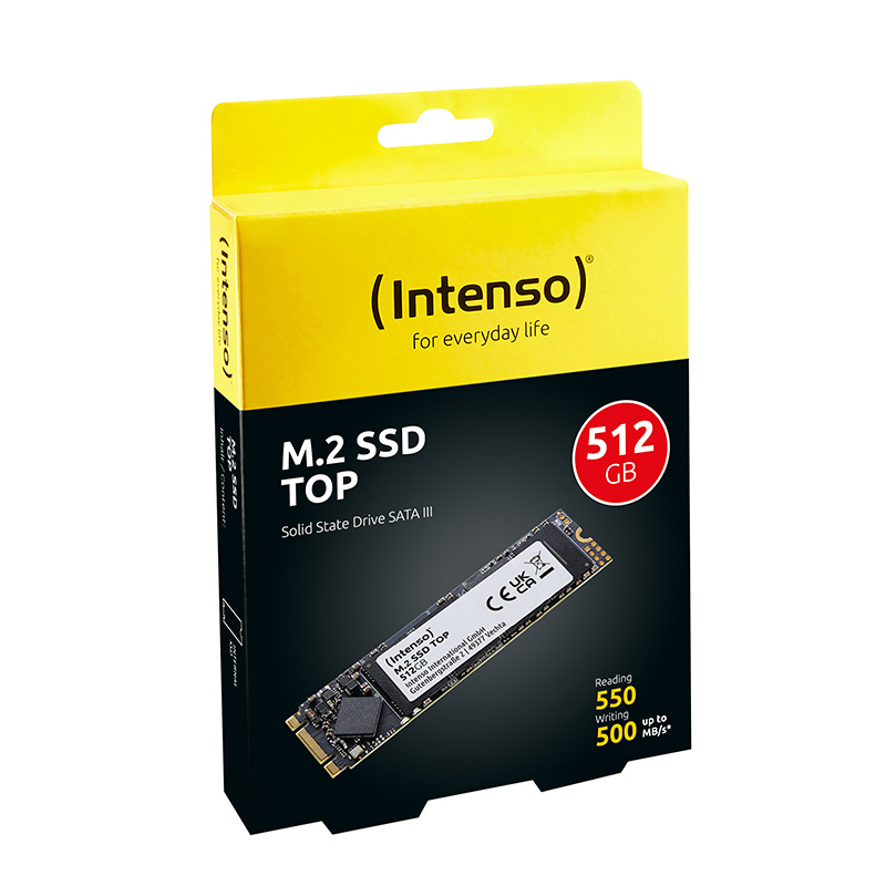 Solid State Drives Intenso