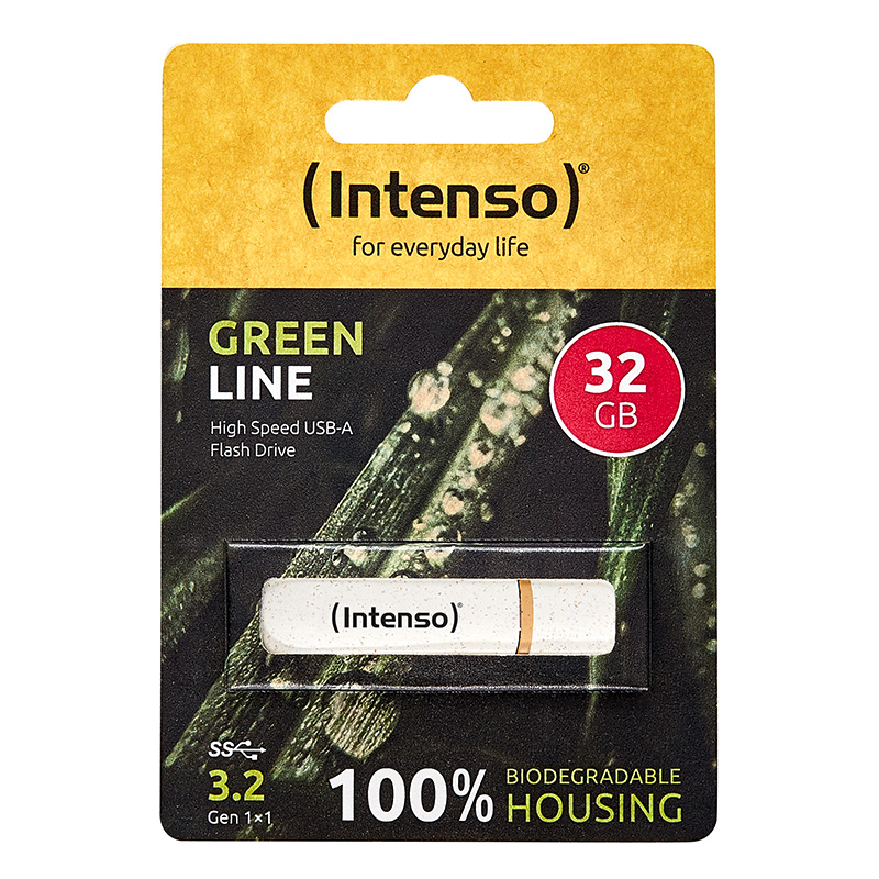 intenso te usb stick green line