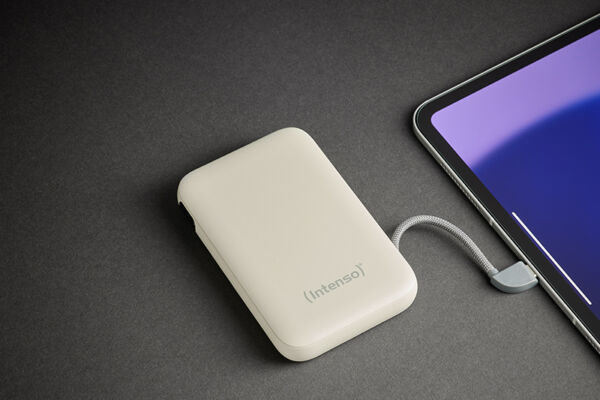  Intenso Power Bank S10000